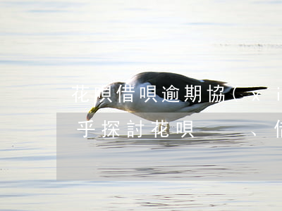 花唄借唄逾期協(xié)商還款有用嗎知乎，探討花唄、借唄逾期后協(xié)商還款的可行性：知乎用戶的經(jīng)驗(yàn)分享